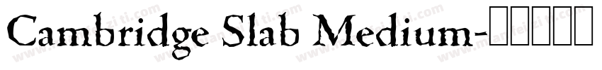 Cambridge Slab Medium字体转换